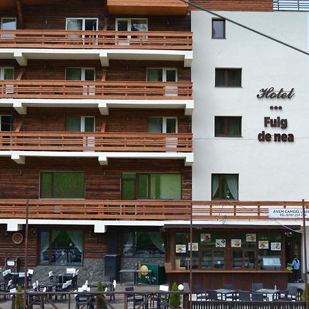Cabana Fulg De Nea Predeal Exteriér fotografie