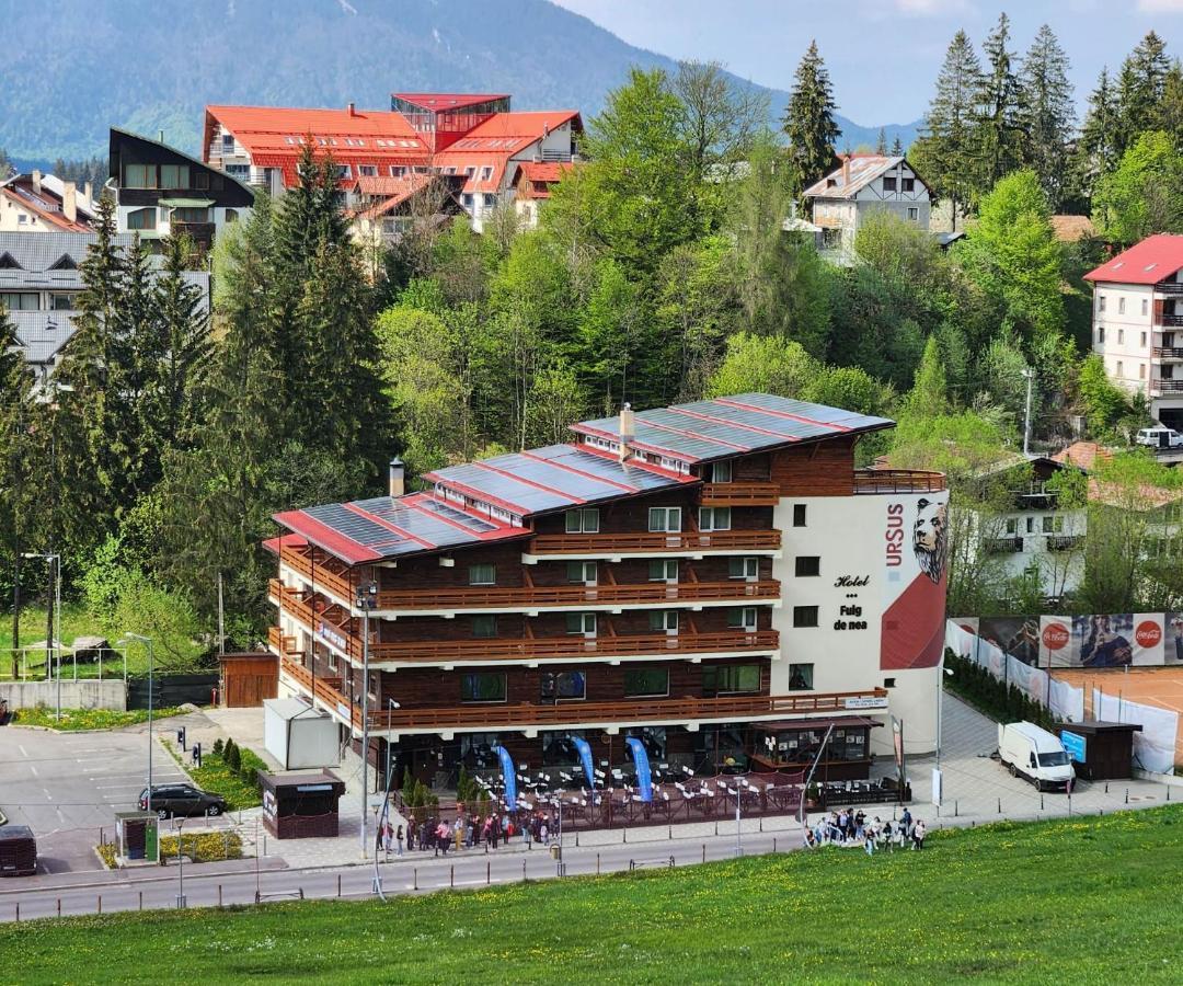 Cabana Fulg De Nea Predeal Exteriér fotografie